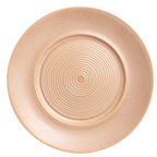 Thumbnail image #1 for Vertex China Elements E-207-D China Plate, 11-1/4" Round, 7" Well, Embossed Rim 1 Dozen