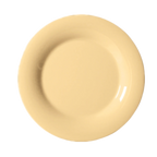 Thumbnail image #1 for G.E.T. GET WP-10-SQ 10-1/2" Squash Melamine Plate, Round, Wide Rim 1 Dozen