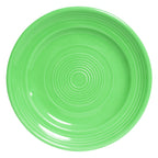 Thumbnail image #1 for Tuxton China Concentrix CTA-104 Ceramic Plate, 10-1/2", Round, Wide Rim, Cilantro 1 Dozen