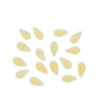 Thumbnail image #1 for Arcobaleno Pasta Equipment AEX50#320 Pasta Extruder Die #320, Bronze, Midolline, 6 x 8.3mm