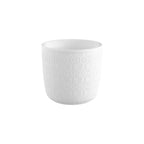 Thumbnail image #1 for Global Tableware Collective G. Benedikt GBDQR95181 Porcelain Coffee & Tea Cup, 6 oz, Stars
