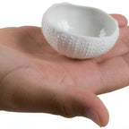 Thumbnail image #2 for JB Prince R913 5 1 oz Round Porcelain White Dish with Sea Urchin Design, 1" Dia. x 2"H