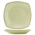 Thumbnail image #1 for Tuxton China Artisan GAS-503 Ceramic Square Coupe Pasta Plate, 21 oz, 10-1/2" 1 Dozen