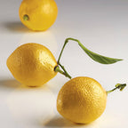 Thumbnail image #1 for JB Prince MA236 8-Form Silicone Citron Mold, 2 in Diameter x 2.75 in Height Each