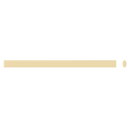 Thumbnail image #1 for Arcobaleno Pasta Equipment AEX50#21 Pasta Extruder Die #21, Bronze, Linguine, 3 x 1.6mm