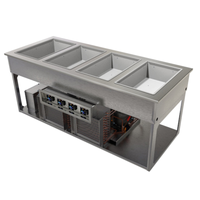 Delfield FlexiWell 63-Inch Drop-In Hot/Cold/Freeze Combination Food Well, 4-Pan Capacity