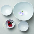 Thumbnail image #5 for G.E.T. Organic - EGS M10RG3-NW Melamine Bowl, 1-3/4 qt (56 oz), 10" Round x 3"H, White, Ring Design Case of 6