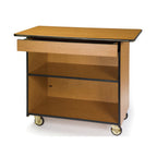 Thumbnail image #1 for Lakeside Manufacturing 67107 Enclosed Serving Cart, 25-1/2"D x 45-1/2"W x 36-3/4"H, 1 Compartment, Fixed Shelf, Drawer