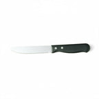 Thumbnail image #1 for Steelite International Walco WL620527 10" Steak Knife, Stainless Steel Blade, Round Tip, Jumbo 2-Rivet Polypropylene Handle Pack of 1 Dozen