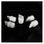 Thumbnail image #1 for Alfa International HOS34 Backup Plug for Hobart Band Saws