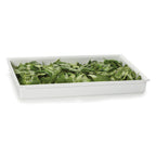 Thumbnail image #1 for G.E.T. Bugambilia, Fit Perfect CIH1F-WW Full-Size 10 qt Cast Aluminum Food Pan, 2-1/2" Deep, White