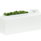 Thumbnail image #1 for Cal-Mil 23413-7-15 Rectangular Buffet Riser, White Metal, 20.5"W x 7"D x 7"H