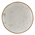 Thumbnail image #1 for Tuxton China Artisan Geode GGA-006 Porcelain Round Plate, Agave, 10-1/4" 1 Dozen