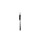 Thumbnail image #1 for Cardinal Ignis by Sola FQ089 Dinner Knife, 9-inch 1 Dozen