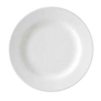 Thumbnail image #1 for Vertex China Rubicon RB-8-TZP 9" Round China Plate with Polished Foot and Magnesium-Reinforced Body Case of 2 Dozen