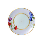 Thumbnail image #1 for Steelite International William Edwards, Trellis 82106AND0163 Bone China Coupe Plate, Round, 8-1/4" 1 Dozen