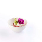 Thumbnail image #1 for JB Prince SIER RB509 S Biodegradable Bagasse Bowl, 3.5-Inch Round, Small, Freezer and Microwave Safe Case of 480