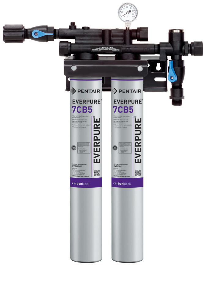 Product image #4 for Everpure KleenSteam II Twin Steamer Water Filter System, 20,000 Gallon Capacity, 5.0 GPM, Without Feeder