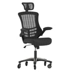 Thumbnail image #1 for Flash Furniture BL-X-5H-RLB-GG Executive Swivel Office Chair, Adjustable Height, Mesh Back, Upholstered Seat, Padded Arms, Casters