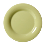 Thumbnail image #1 for G.E.T. Diamond Harvest WP-9-AV 9-Inch Avocado Melamine Plate, Round, Wide Rim Case of 2 Dozen