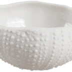 Thumbnail image #1 for JB Prince R913 5 1 oz Round Porcelain White Dish with Sea Urchin Design, 1" Dia. x 2"H