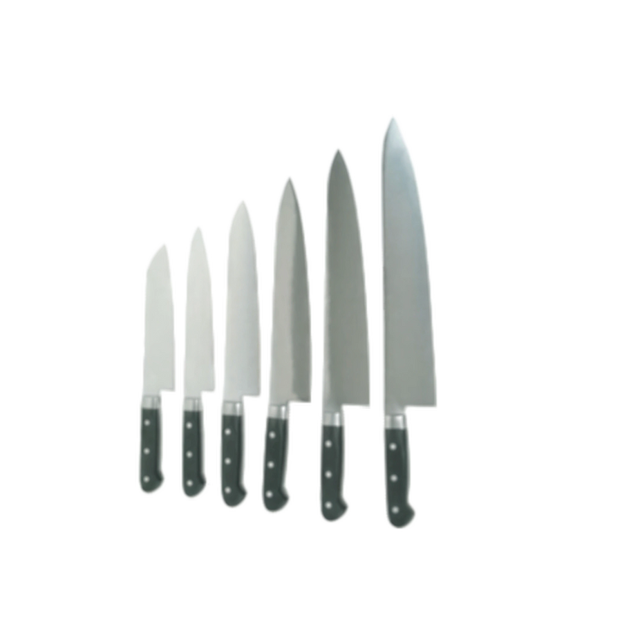 group picture