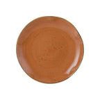 Thumbnail image #1 for Tuxton China Artisan Geode GGC-006 Porcelain Coral Round Plate, 10-1/4" 1 Dozen