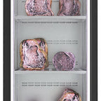 Thumbnail image #1 for Infrico USA IRR-AC280MDAB Meat Dry Aging Display Refrigerator, One-Section Reach-In, 12 cu. ft., Locking Glass Door