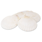 Thumbnail image #1 for Alegacy Foodservice Products 664 5-Inch Natural Baking Shell for Cooking and Serving Case of 36