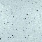 Thumbnail image #2 for G.E.T. Bugambilia DT104SB Triangular Buffet Disc, 17-1/2" x 17-1/2" x 1/2", Cast Aluminum with Resin Coating, Sky Blue