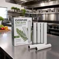 Everpure CTO-20 FX Replacement Water Filter Cartridges, 6-Pack