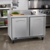 Thumbnail image #2 for Victory Refrigeration 48-Inch Two-Section Worktop Freezer Counter