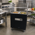 Thumbnail image #2 for Advance Tabco Triumph Supreme Portable Electric Hot Food Buffet Table with 2 Sealed Wells and Sneeze Guard