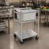 Thumbnail image #2 for Channel Standard Heavy-Duty Aluminum Poly Box Rack Bus Cart with 1 Poly Box and 5-Inch Swivel Stem Casters