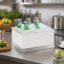 Thumbnail image #2 for Cal-Mil Luxe Complete Ice Housing with Clear Polycarbonate Pan and Liner, 10
