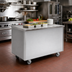 Thumbnail image #2 for Randell RAN ST-4 Mobile Modular Utility Worktop Serving Station with Enclosed Base, 48 Inch x 30 Inch