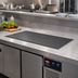 Thumbnail image #2 for Hatco HCSBFX-48-I Built-In Flush Top Hot/Cold Shelf, 48-Inch x 19.5-Inch Surface, Remote Refrigeration, Hardcoat Aluminum