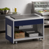 Thumbnail image #2 for Atlas Metal INFRF-5 Mobile Refrigeration Frost Top Unit, 77-3/4