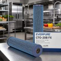 Everpure CTO-20B FX Replacement Water Filter Cartridge, 0.5 Micron, 5.0 GPM