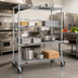 Thumbnail image #2 for EAGLEbrite 4-Tier 36 x 18-Inch Wire Shelving Dolly Truck with Zinc Finish and Poly Swivel/Brake Casters