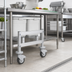 Thumbnail image #2 for Fermostock Mobile Dunnage Rack Upright, 12-Inch H x 22-Inch D, Deep Anodized Aluminum