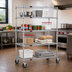 Thumbnail image #2 for EAGLEbrite 4-Tier 60 x 24 Inch Wire Dolly Truck with Zinc Finish and Poly Swivel/Brake Casters