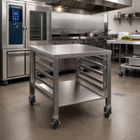 Alto-Shaam Vector H Stainless Steel Open-Base Equipment Stand with Casters, Lower Shelf, and Side Racks