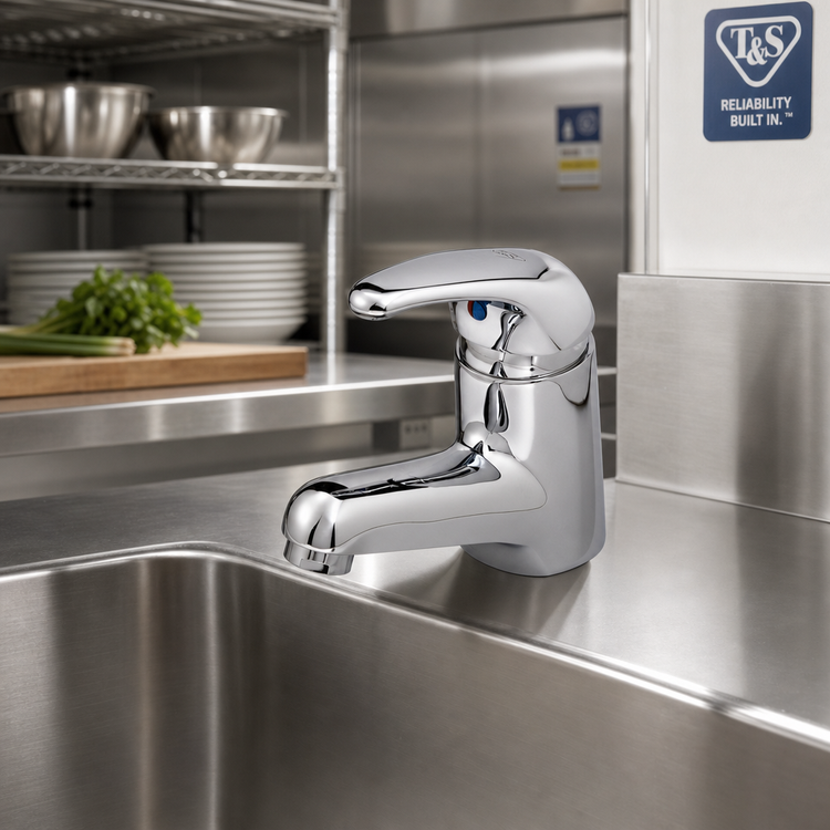 Product image #2 for T&S Brass B-2701-VR Single-Hole Single-Lever Deck-Mount Vandal-Resistant Faucet with 2.2 GPM Aerator