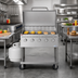 Thumbnail image #2 for KoolMore 36-Inch 5-Burner Mobile Outdoor Propane Gas Grill with Roll Dome Cover