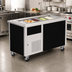 Thumbnail image #2 for Randell Mobile Modular Self-Contained Frost Top Serving Station with Enclosed Base, 60 Inch, 4 Half-Size Pan Capacity