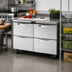 Thumbnail image #2 for True Spec Series 48-Inch Undercounter Drawer Refrigerator, 4 Drawers, Stainless Steel, R290