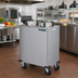 Thumbnail image #2 for Dinex Enclosed Mobile Unheated Two-Silo Plate Dispenser for 9-1/8 Inch Plates