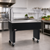 Thumbnail image #2 for Eagle Service Mate BPST-2 33-Inch Portable Buffet Solid Top Unit with Clear Sneeze Guard