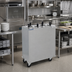 Thumbnail image #2 for Delfield Shelleymatic CAB2-1450 Mobile Enclosed Two-Stack Unheated Dish Dispenser for 12-14-1/2 Inch Round Plates